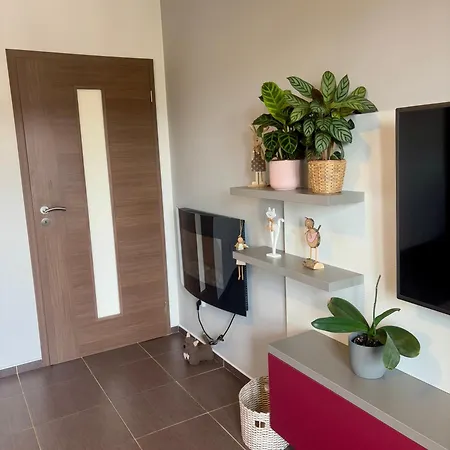 Luxury Flat In Purplered דירה *